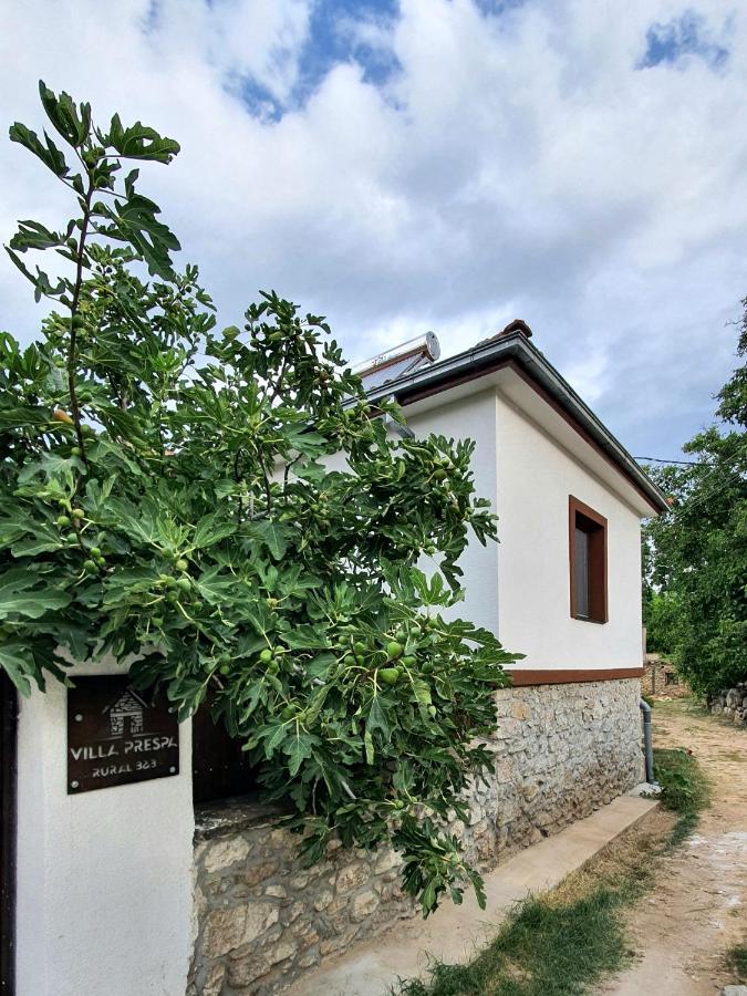 Villa Prespa Dolno Dupeni Exterior foto