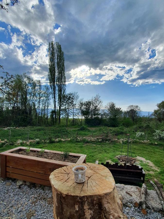 Villa Prespa Dolno Dupeni Exterior foto