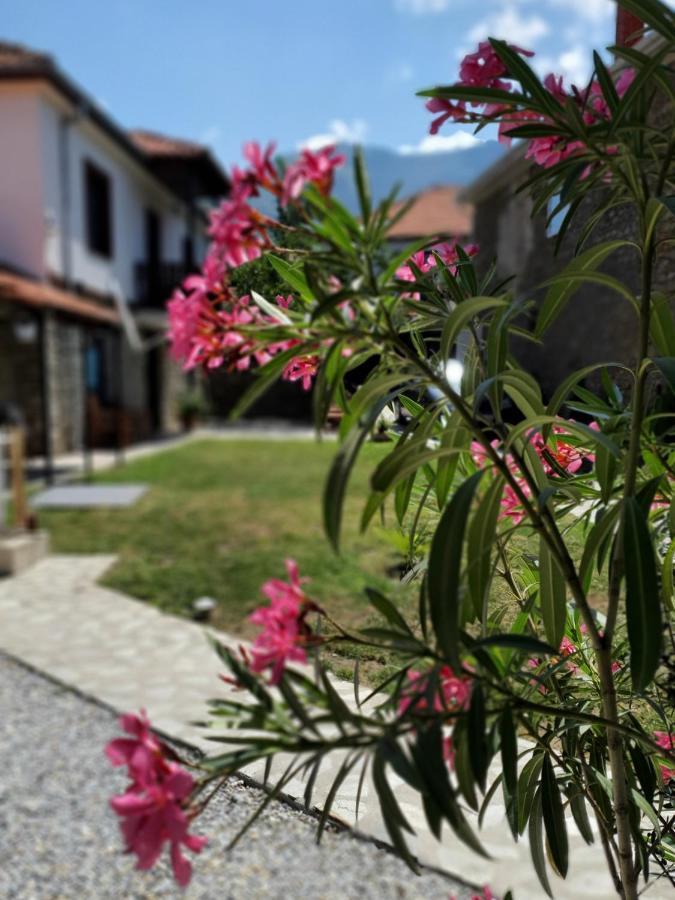 Villa Prespa Dolno Dupeni Exterior foto
