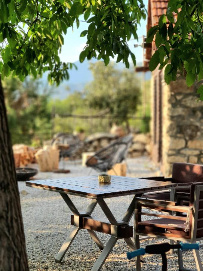Villa Prespa Dolno Dupeni Exterior foto